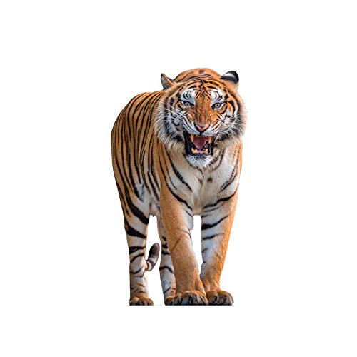 aahs!! Tiger Cardboard Standee Life Size Cutout Poster