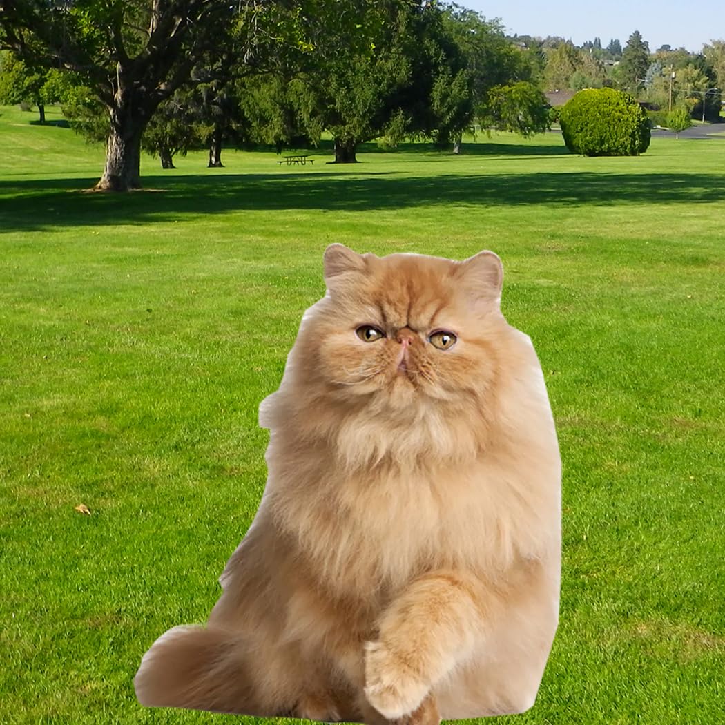 aahs!! Engraving Orange Persian cat cardboard cutout standee