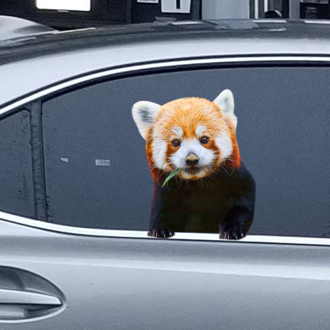 Car Window Decal - 3D - (Red Panda) waterproof car decal