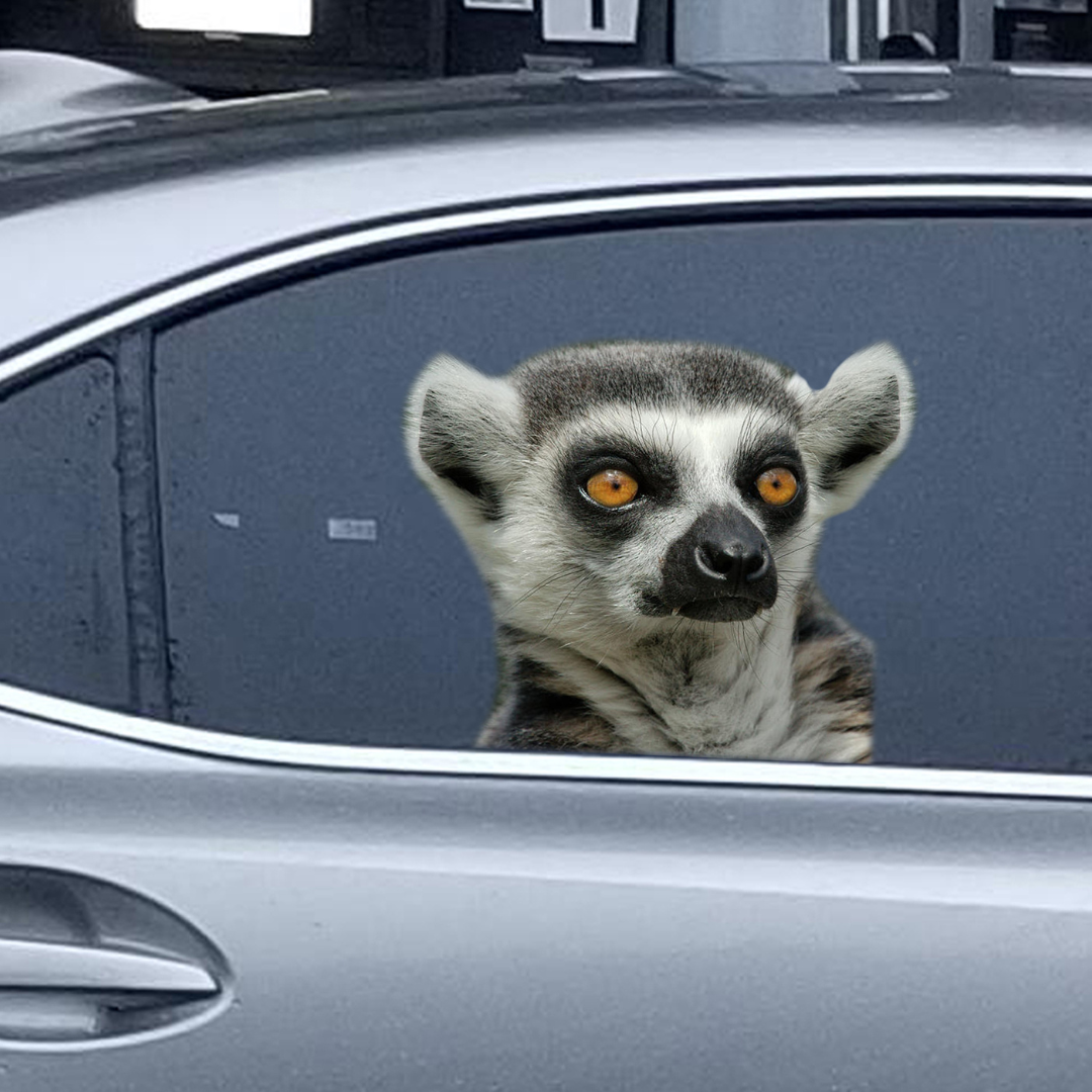Car Window Decal 3D Lemur waterproof sticker for car