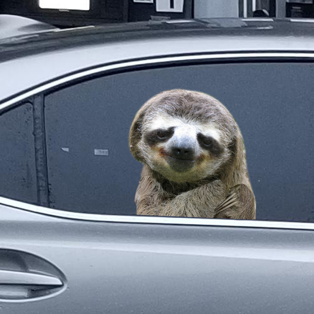 Car Window Decal - 3D - (Sloth) sloth car sticker