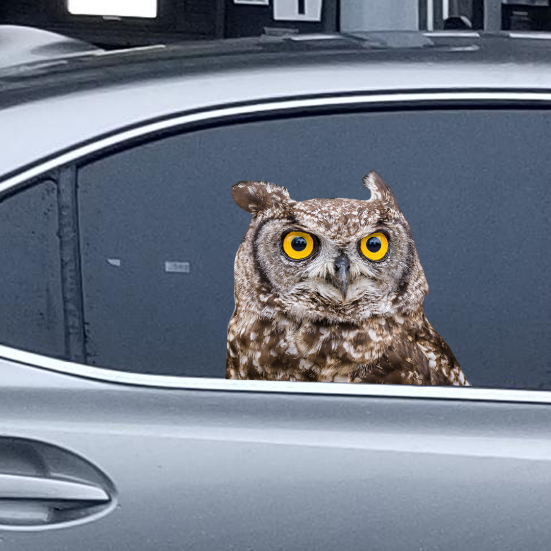 Car Window Decal - 3D - (Owl) waterproof owl car sticker