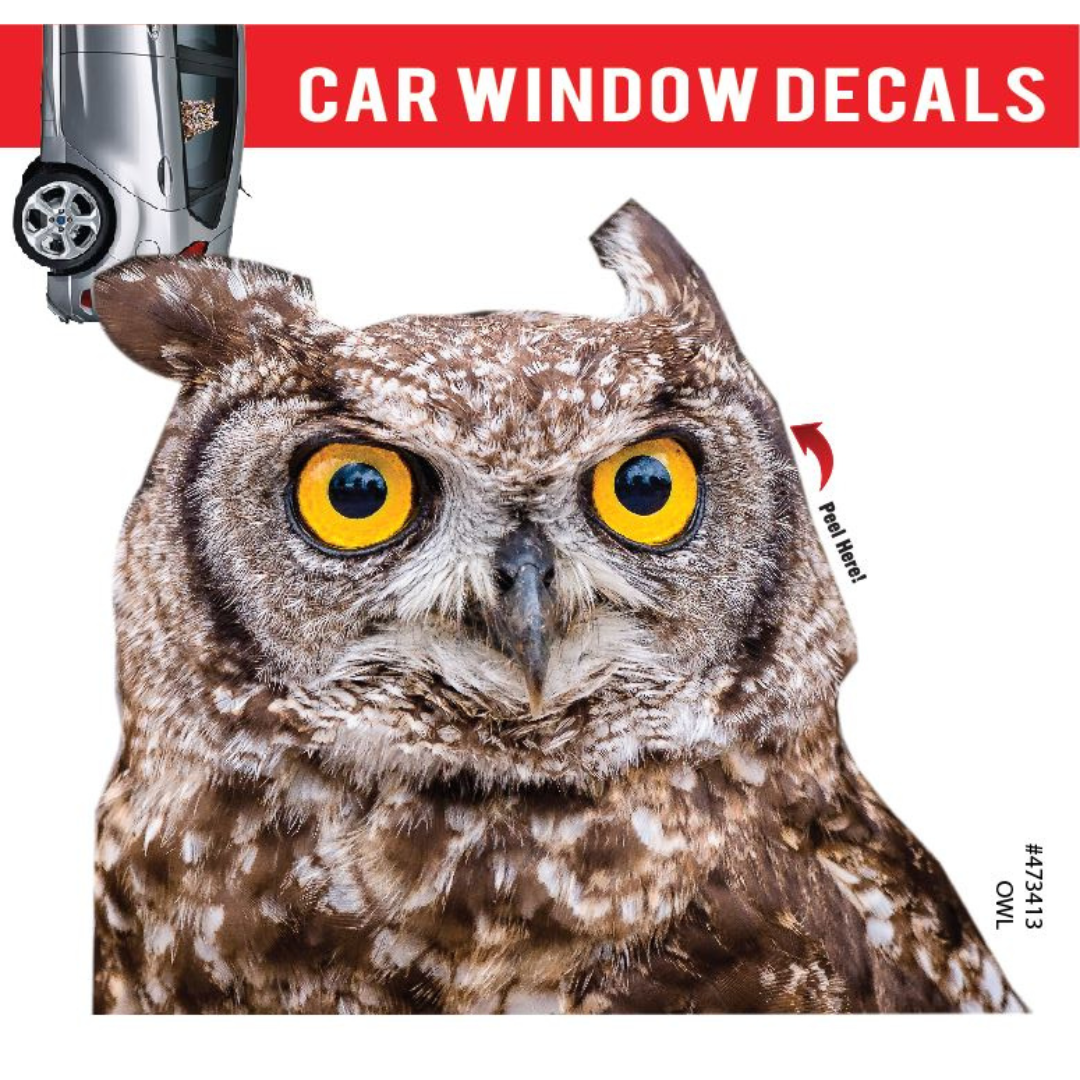 Car Window Decal - 3D - (Owl) waterproof owl car sticker