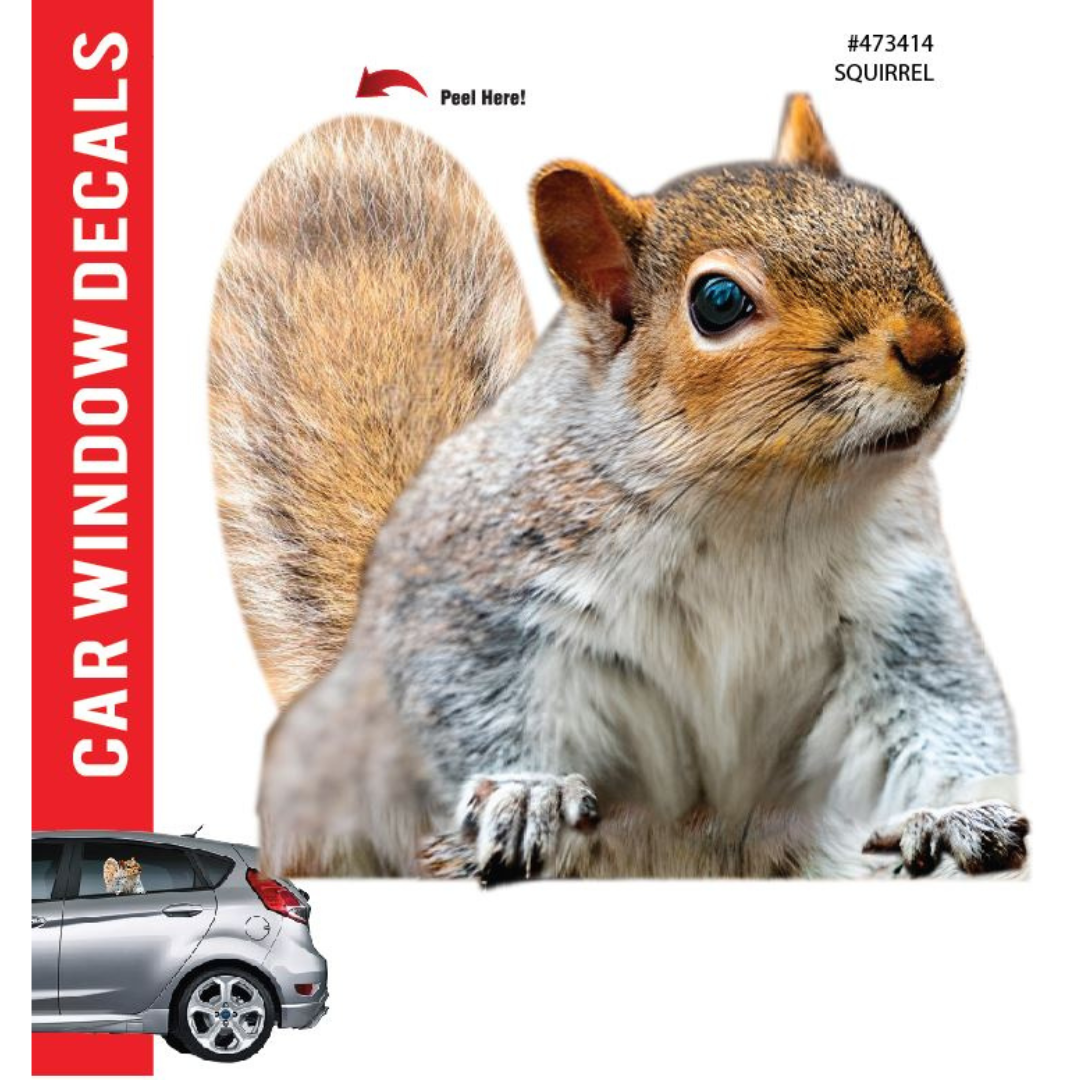 Car Window Decal - 3D - Squirrel waterproof car decal