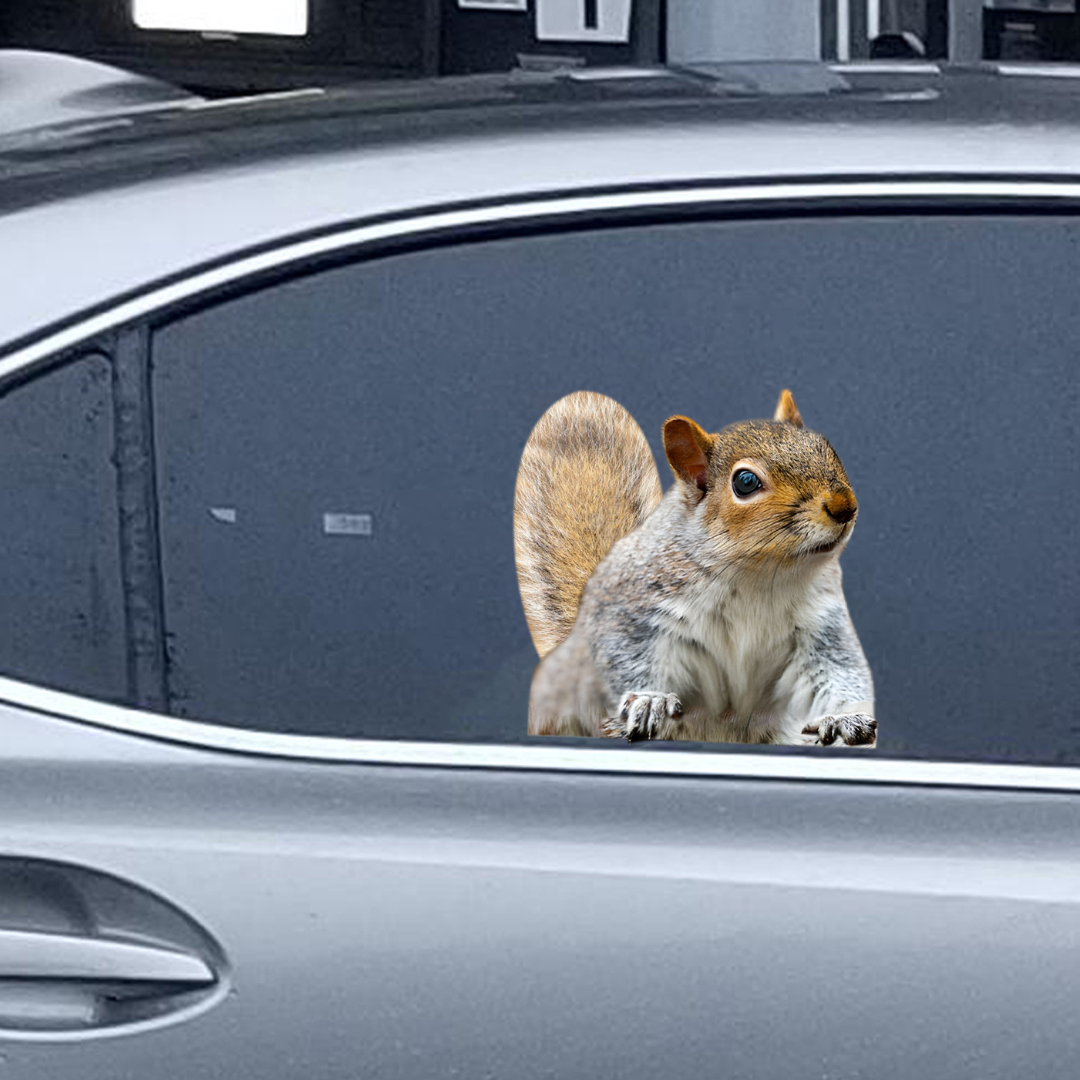 Car Window Decal - 3D - Squirrel waterproof car decal