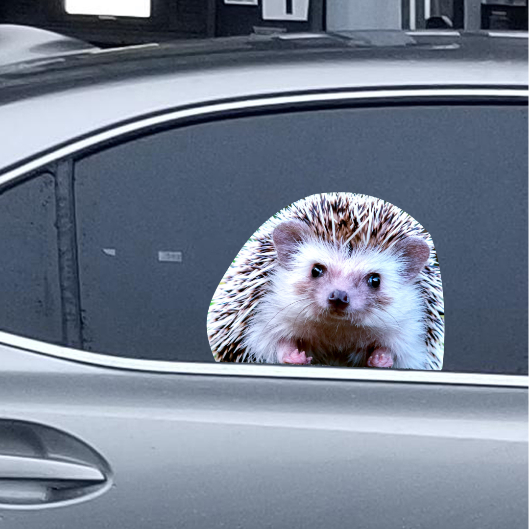 Car Window Decal - 3D - (Hedgehog)