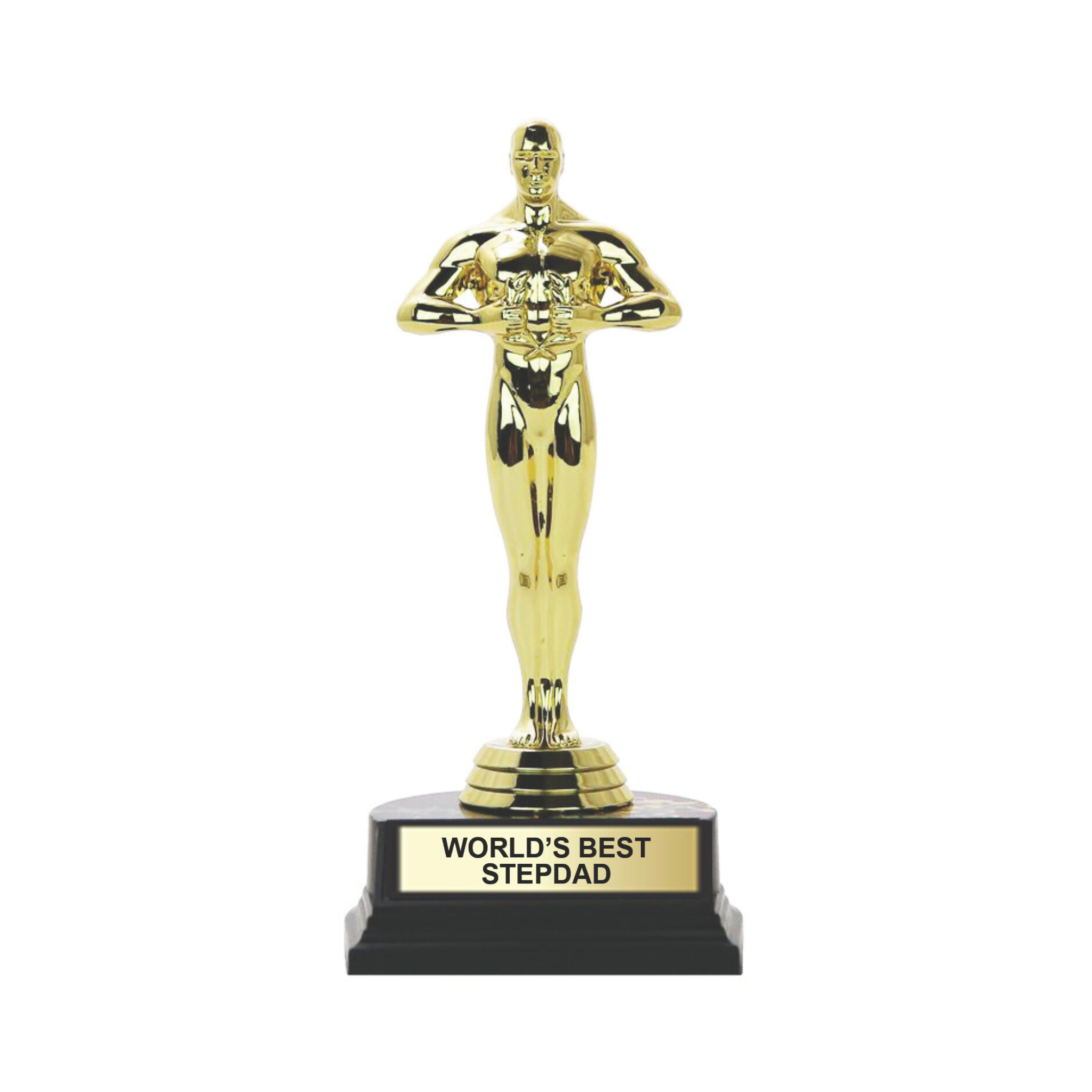 World's Best Stepdad Trophy 7"