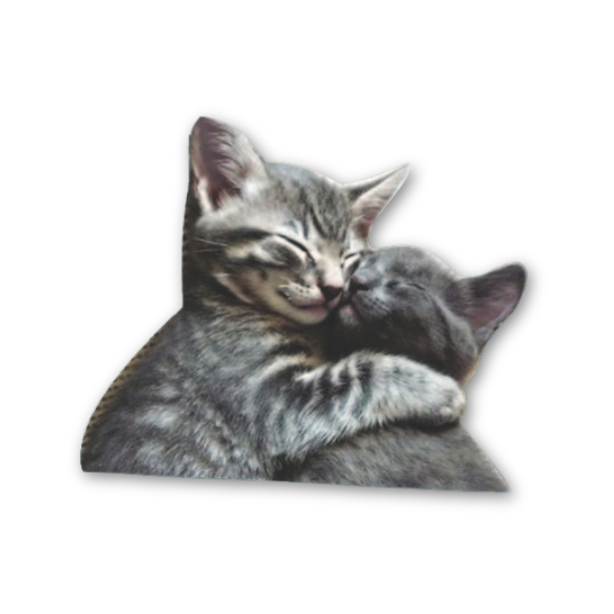 "Kissing Kitties" Valentine's Day Car Window Decals - 3D