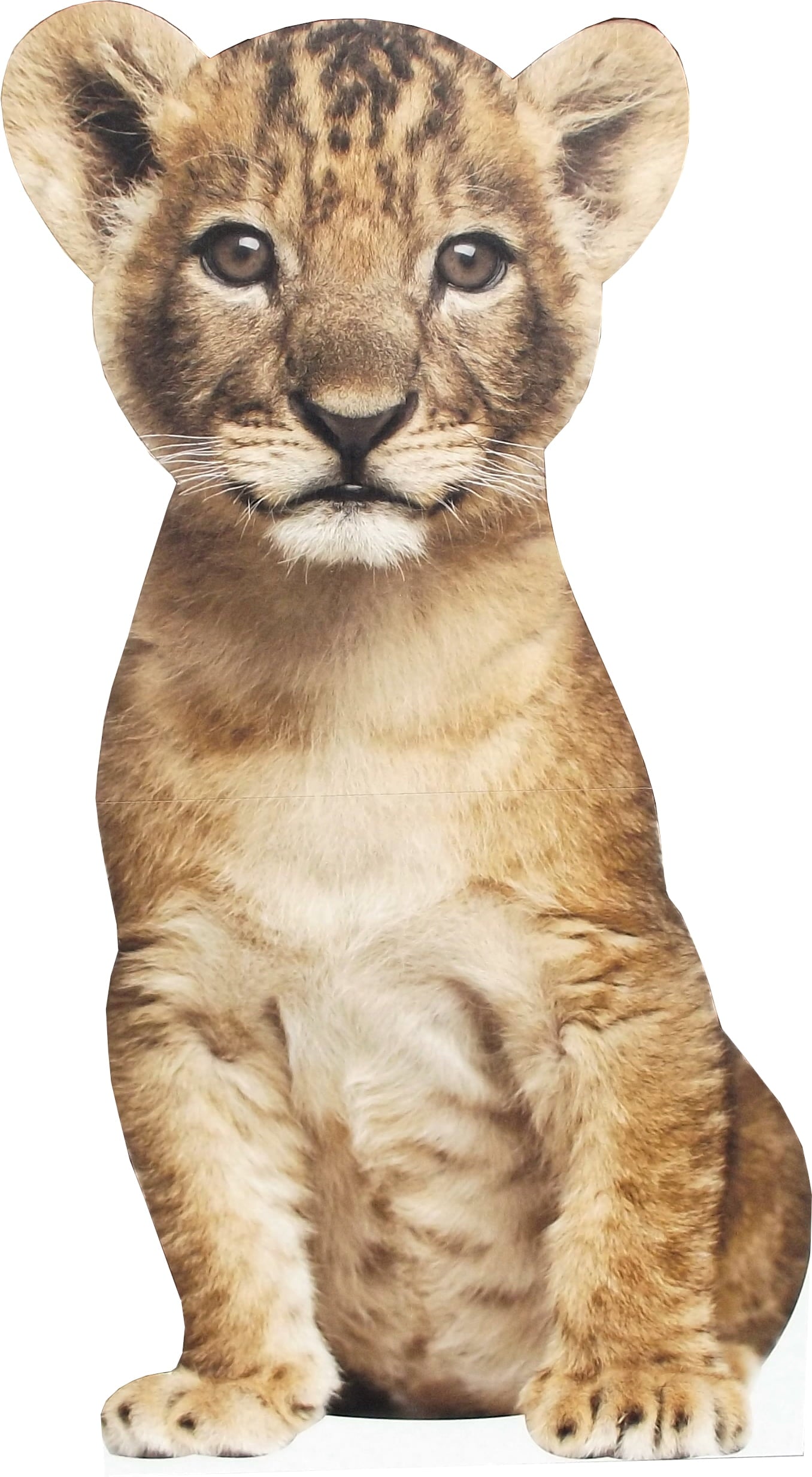 aahs!! Engraving Animal Life Size Cardboard Cutout Stand Up | Standee Picture Poster Photo Print (Lion Cub) - Lemonsoda