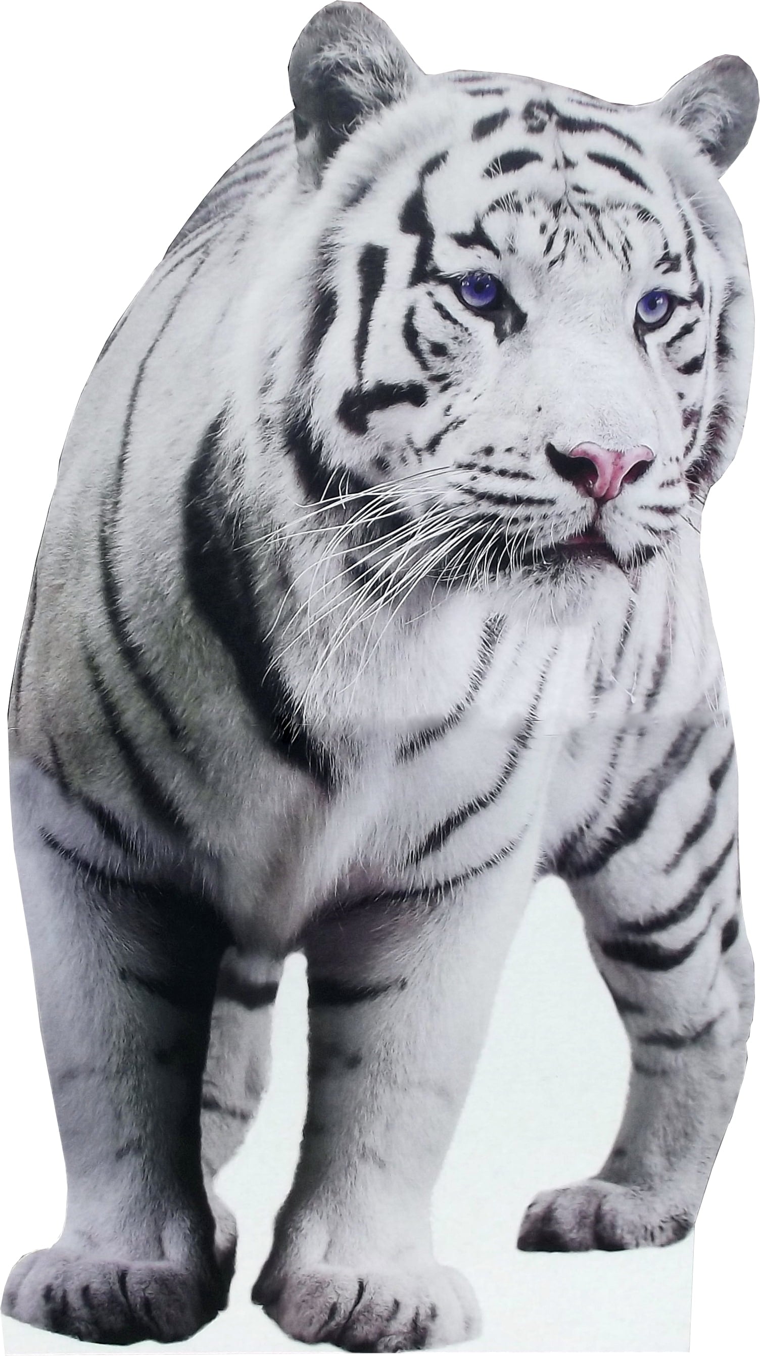 aahs!! Engraving White Tiger cardboard standee cutout