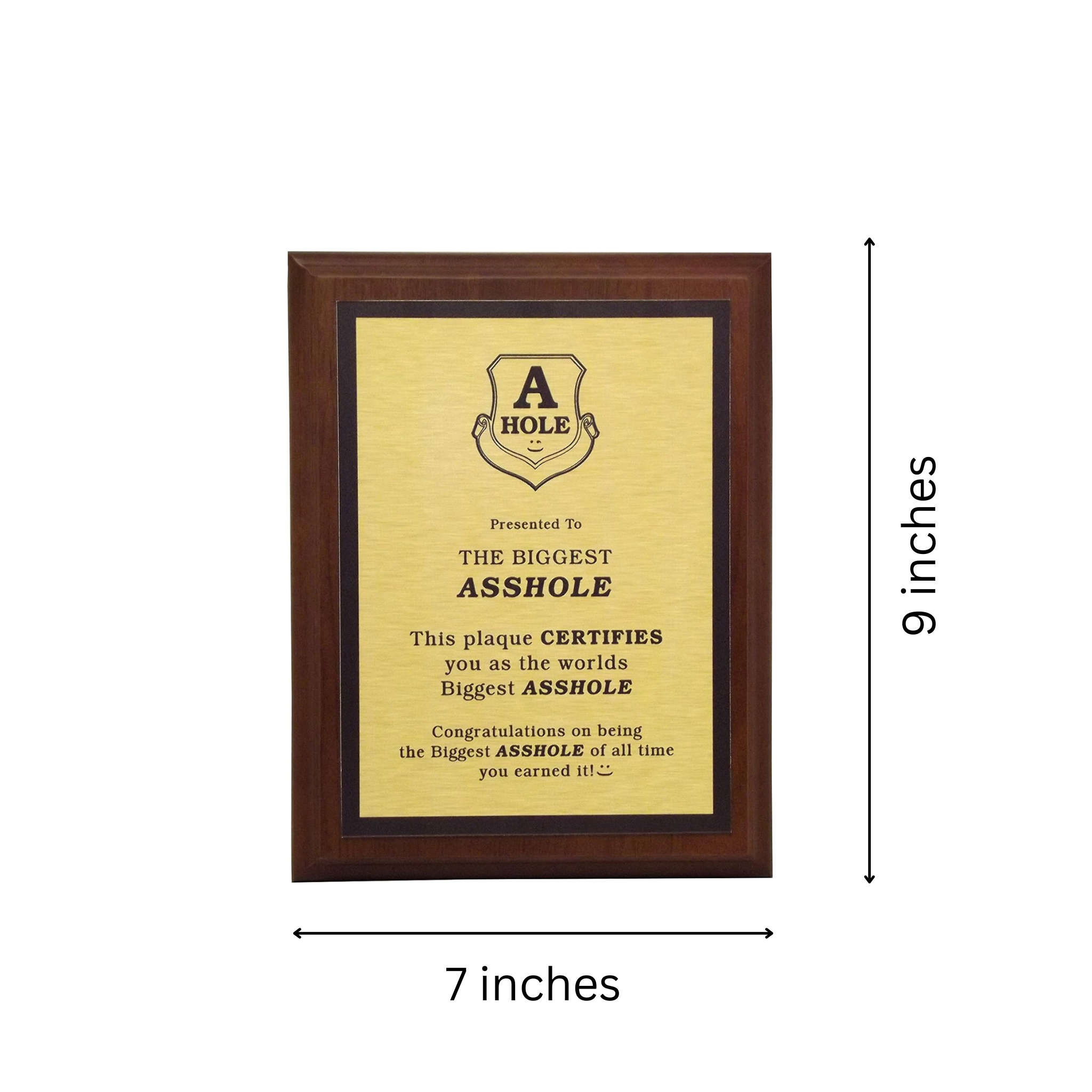 LEMONSODA World's Greatest Plaque (The Biggest Asshole) - Gold