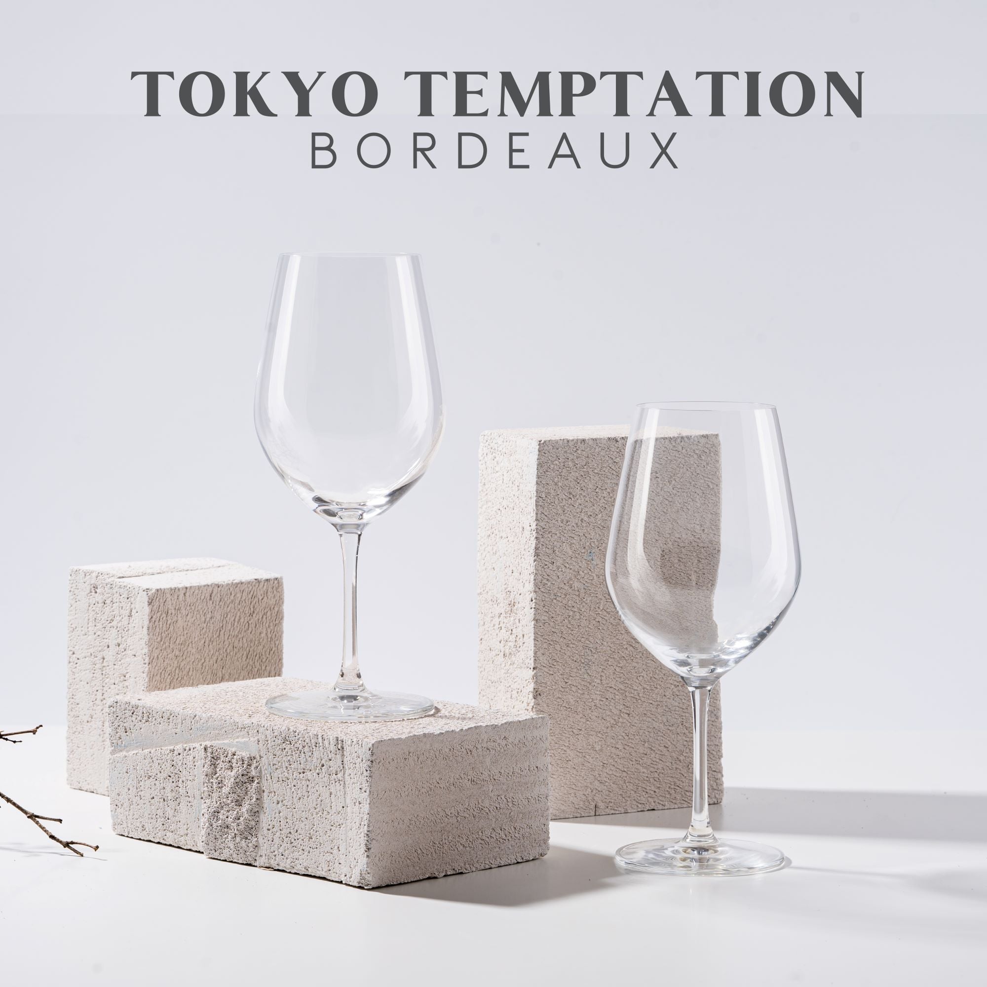 Tokyo Temptation Bordeaux Wine Glasses - Set of 2