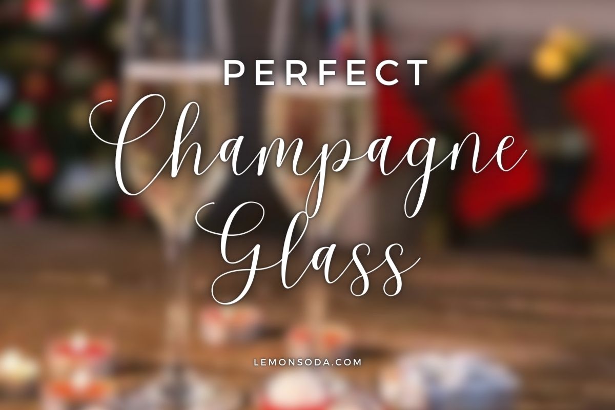 The Perfect Champagne Glass: A Guide to Elevating Your Bubbly Experience