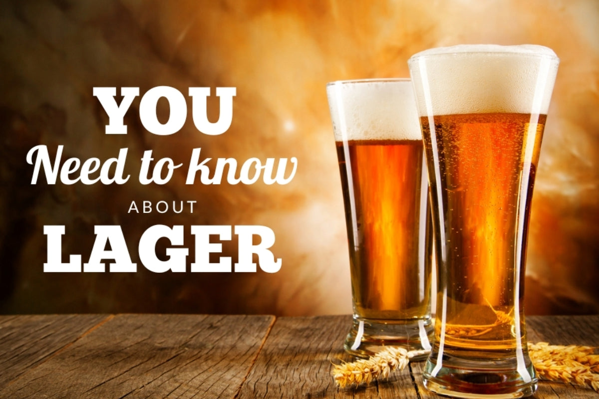 Everything You Need to Know About Lageru lager