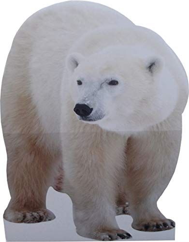 aahs!! Engraving Animal Life Size Cardboard Cutout Stand Up | Standee Picture Poster Photo Print (Polar Bear)