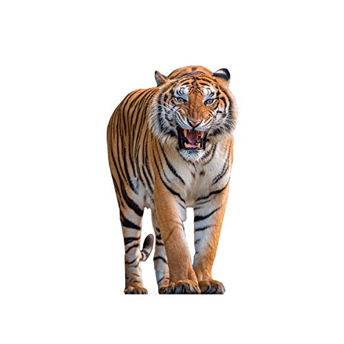 aahs!! Engraving Animal Life Size Cardboard Cutout Stand Up | Standee Picture Poster Photo Print (Tiger)