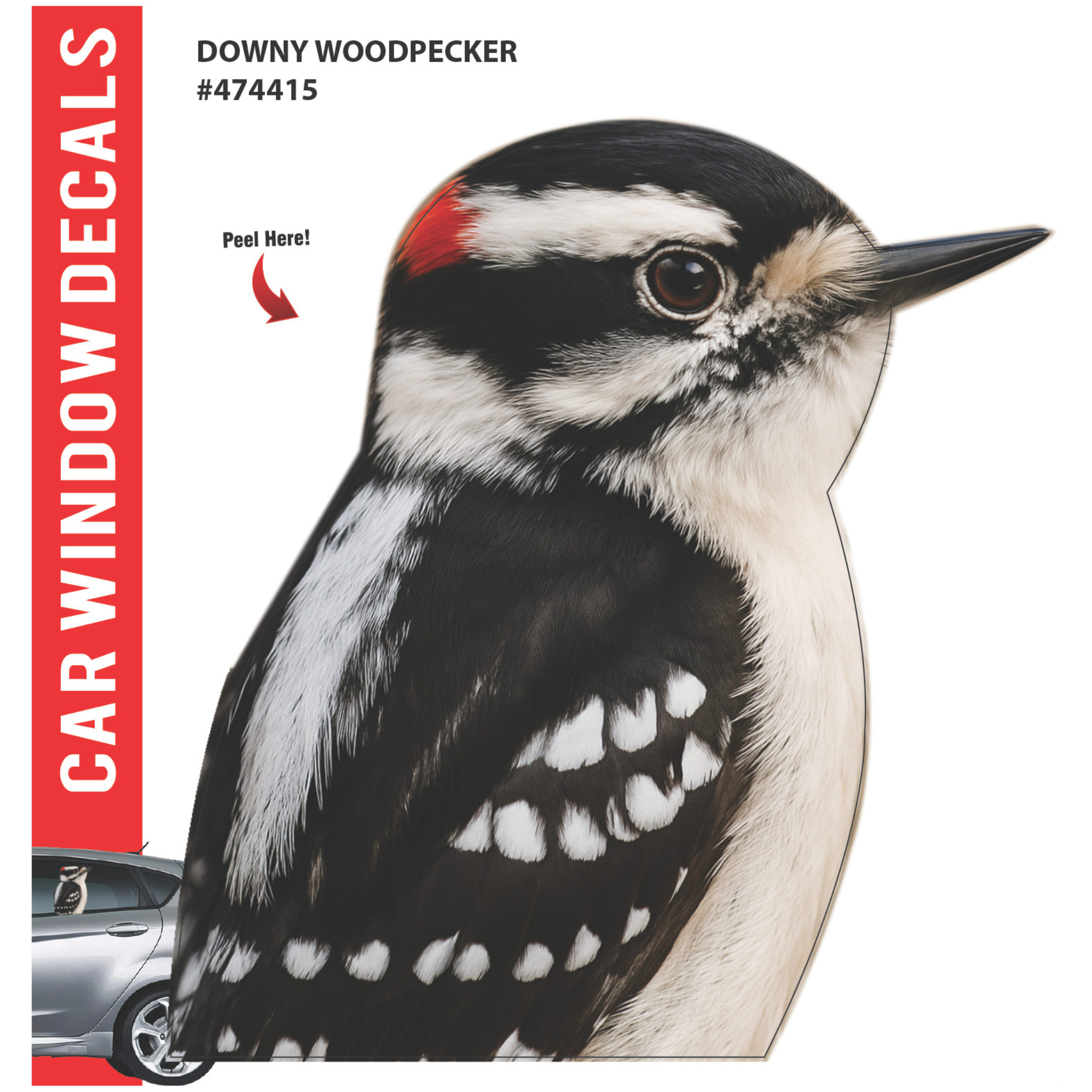 Car Window Exotic Bird Decals - 3D