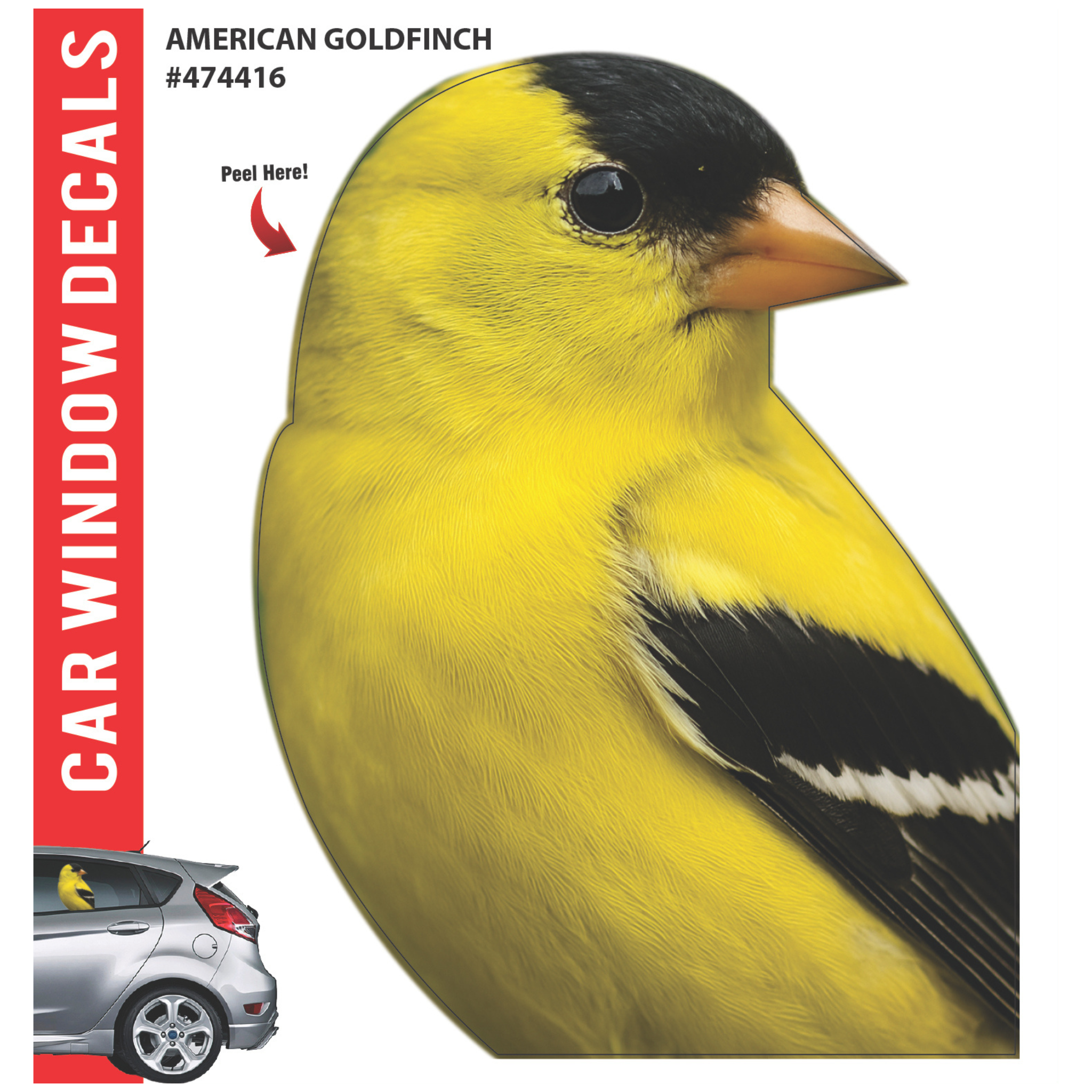 Car Window Exotic Bird Decals - 3D