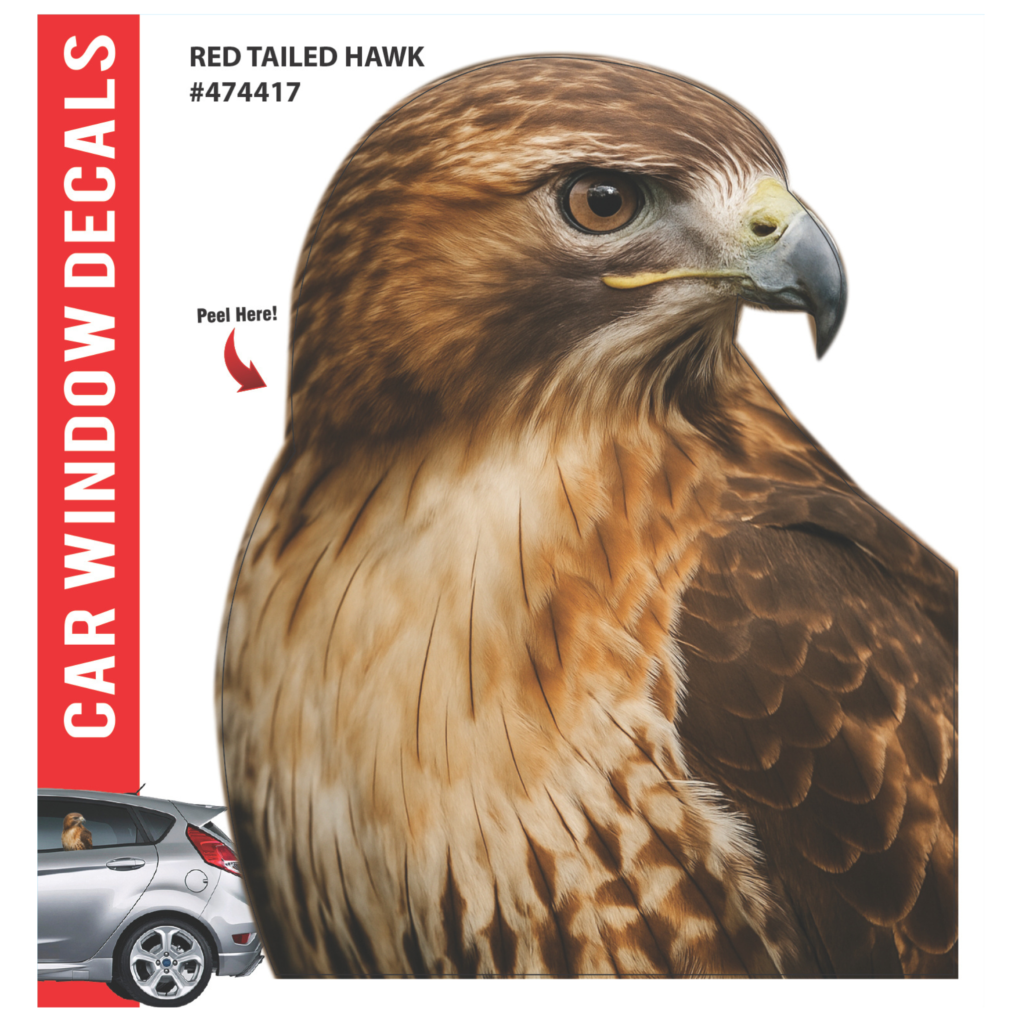 Car Window Exotic Bird Decals - 3D