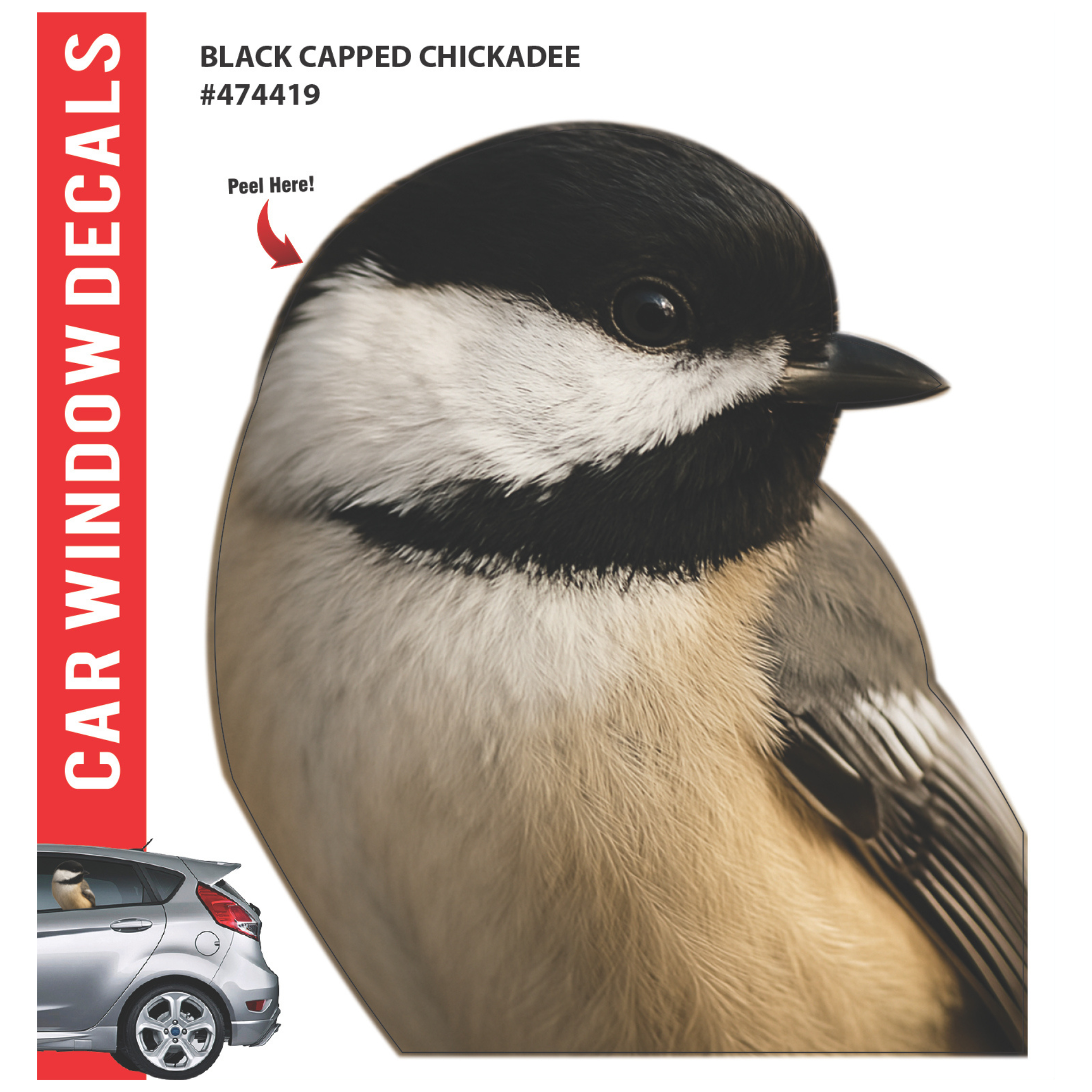 Car Window Exotic Bird Decals - 3D
