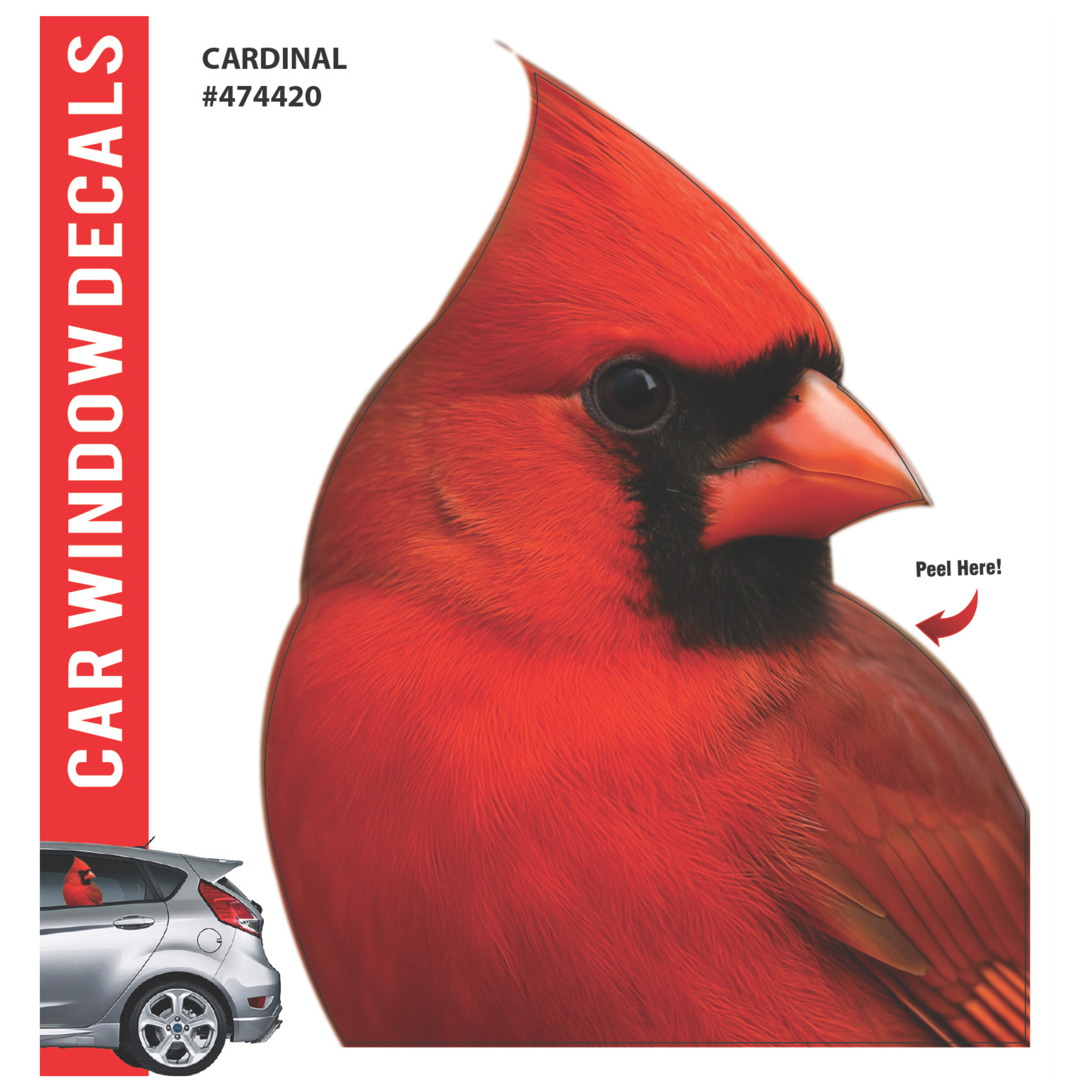 Car Window Exotic Bird Decals - 3D