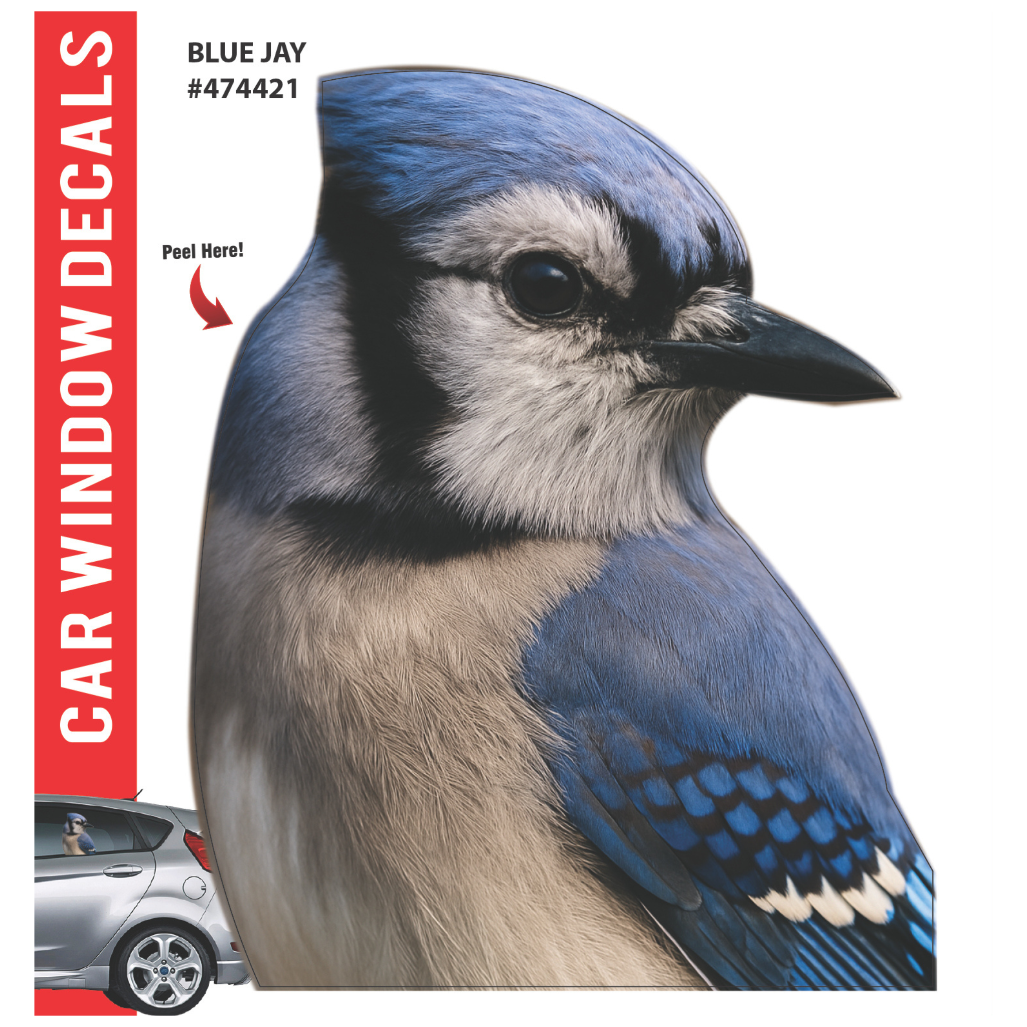 Car Window Exotic Bird Decals - 3D