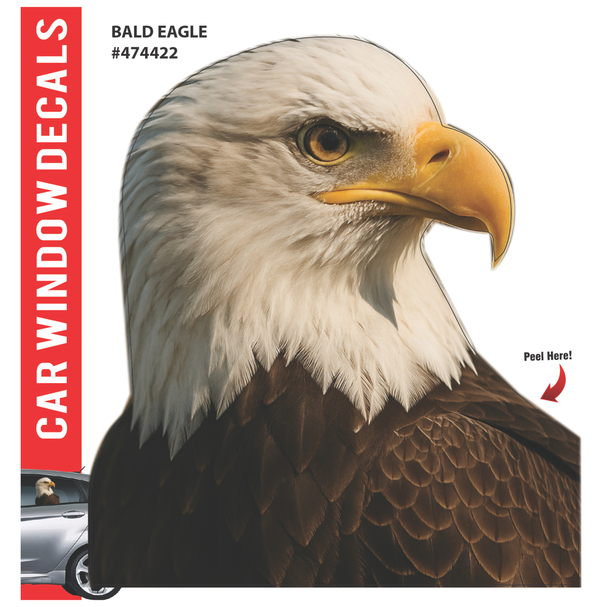 Car Window Exotic Bird Decals - 3D