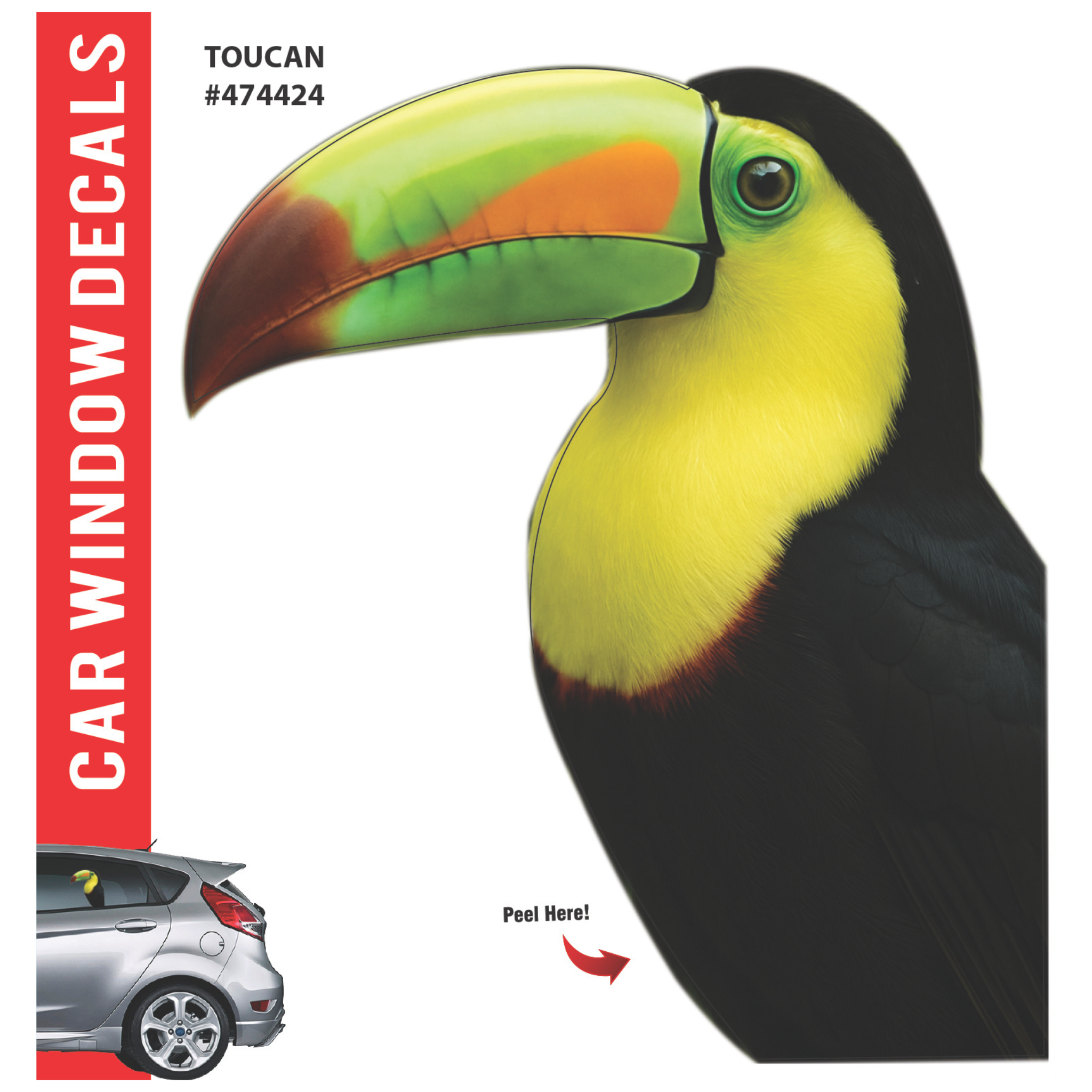 Car Window Exotic Bird Decals - 3D
