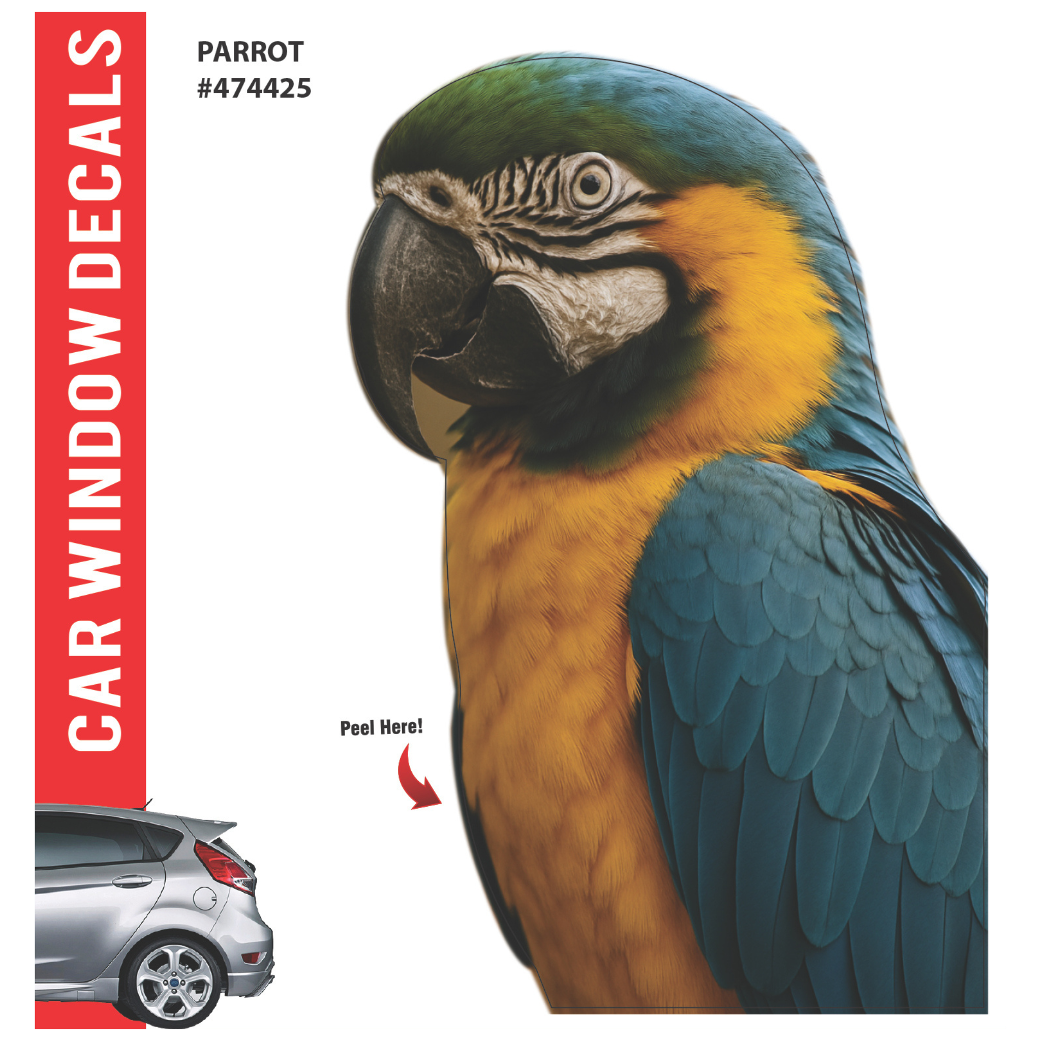 Car Window Exotic Bird Decals - 3D