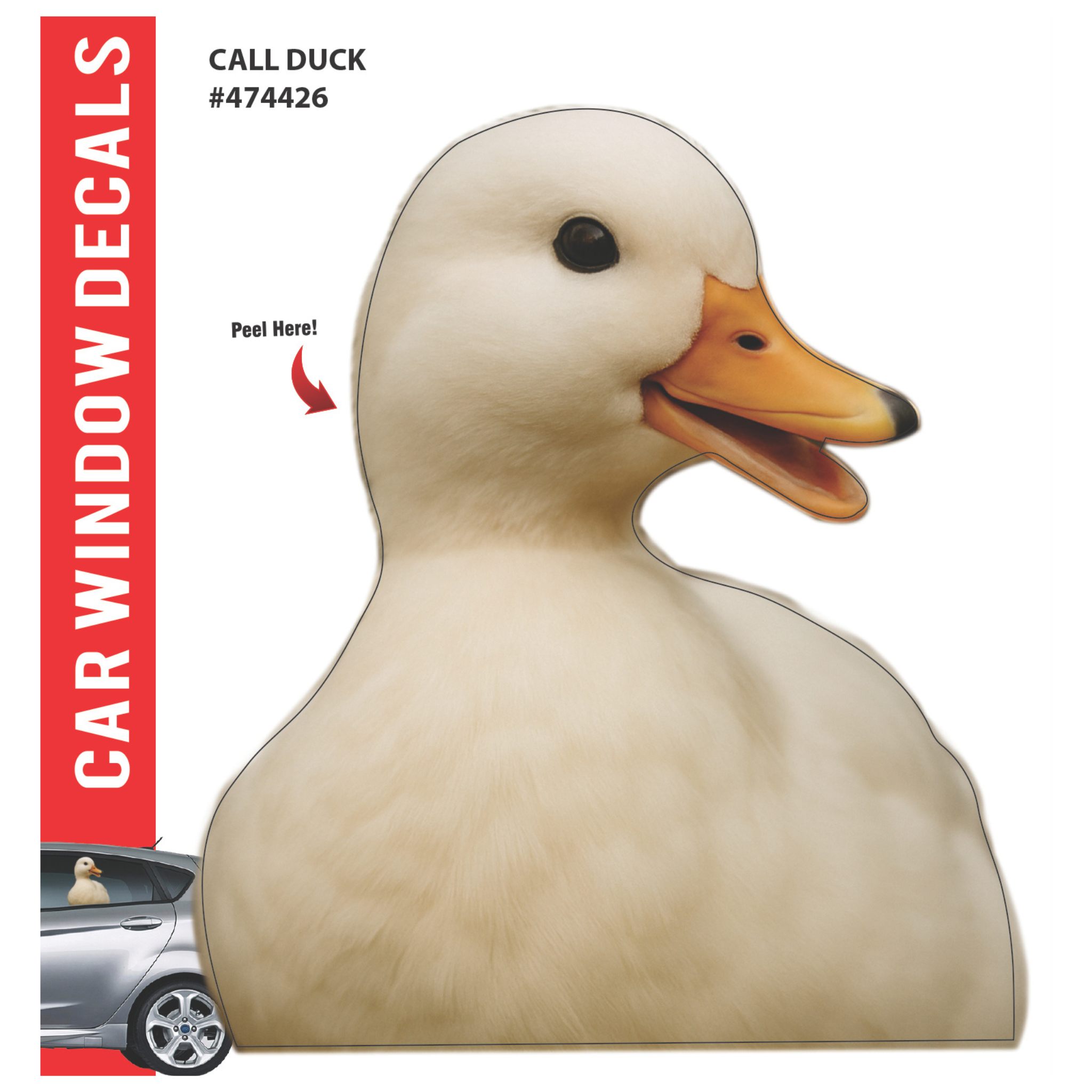 Car Window Exotic Bird Decals - 3D