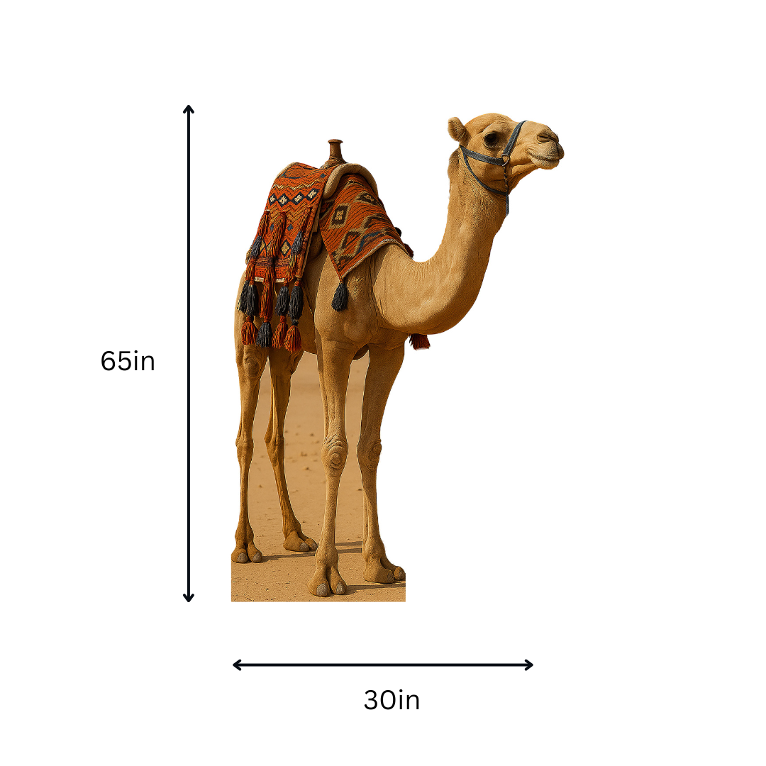 Desert Camel Life Sized Cardboard Cutout