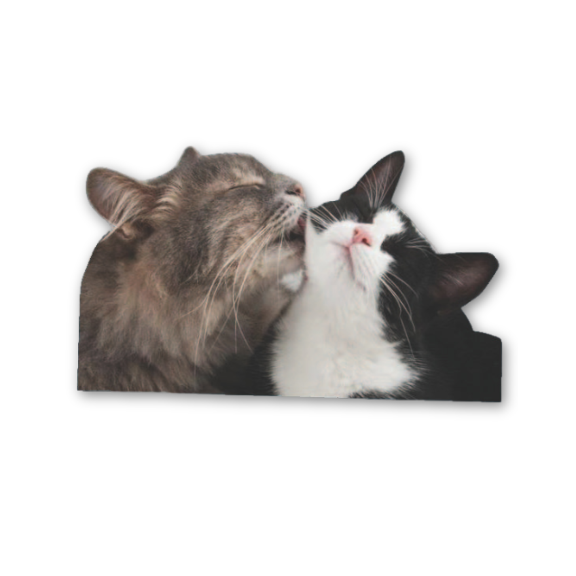 "Kissing Kitties" Valentine's Day Car Window Decals - 3D