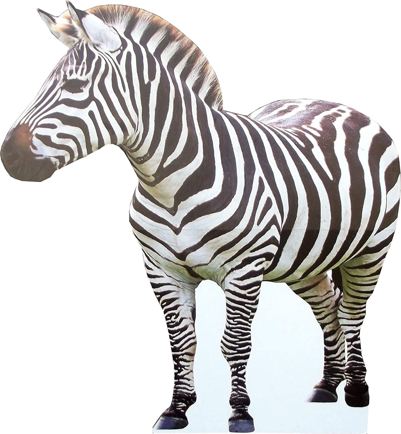 aahs!! Engraving Animal Life Size Cardboard Cutout Stand Up | Standee Picture Poster Photo Print (Zebra) - Lemonsoda