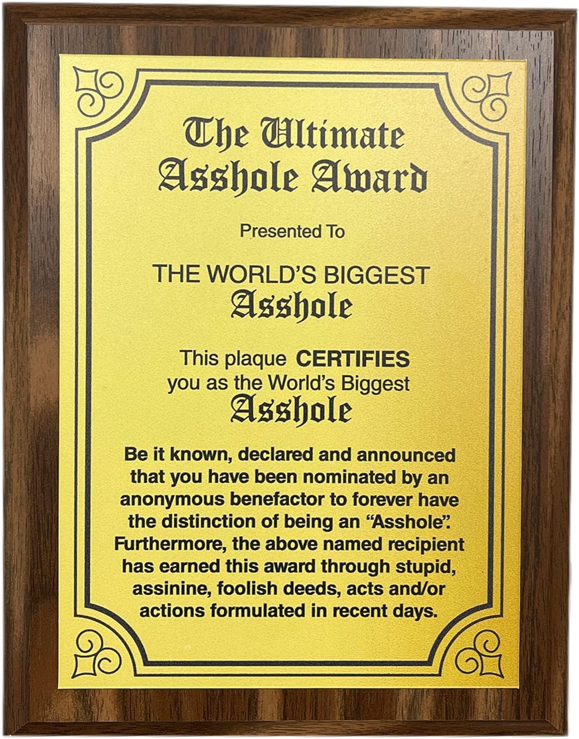 LEMONSODA aahs!! Engraving Worlds Greatest Plaques (Biggest Asshole, Gold)