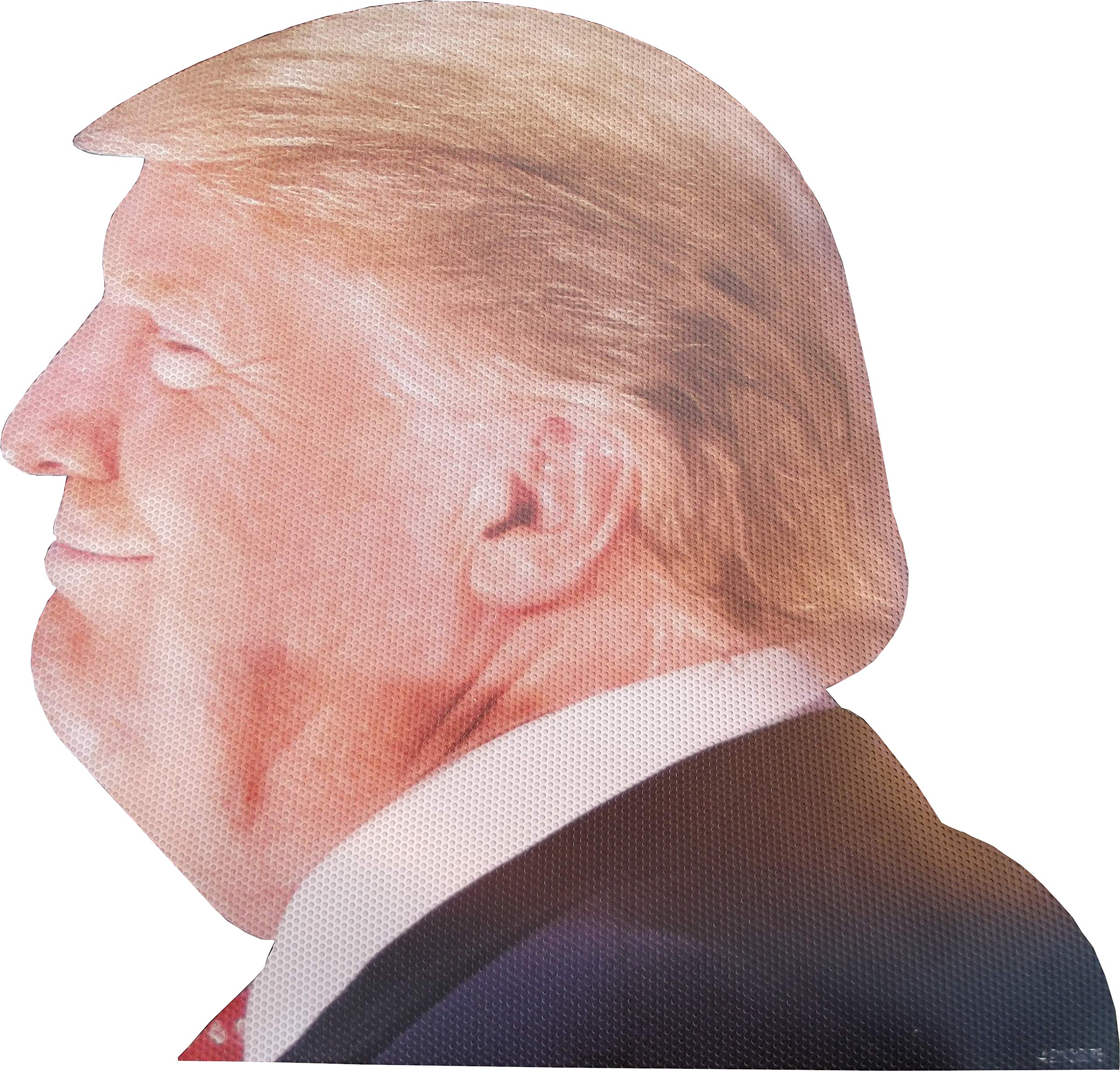 Aahs Donald Trump Decals Car Stickers Funny Window Peel Off Political (Trump Window Decal)