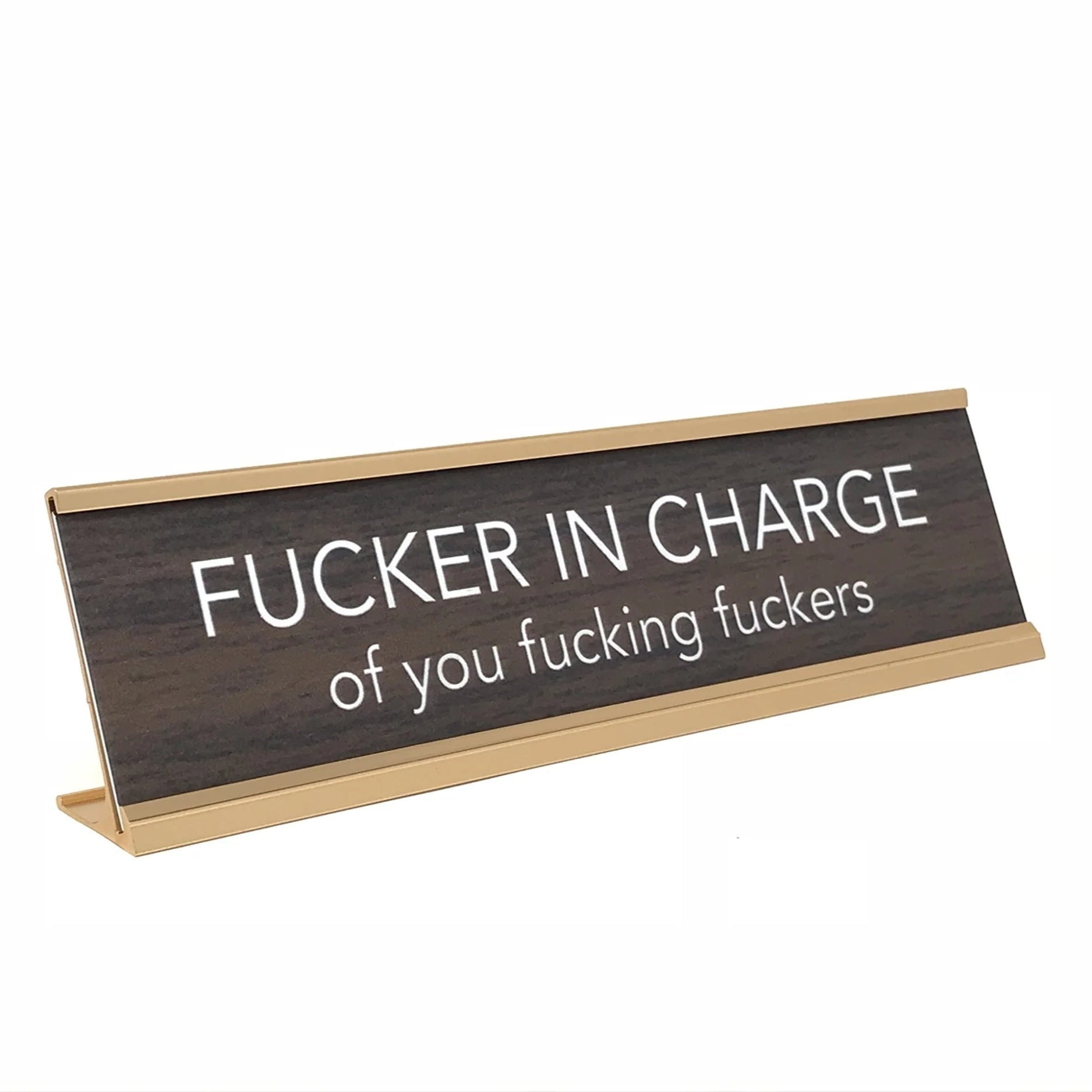 Question Charge. Sign Fucker in Charge Novelty Desk Sign – Funny Office Nameplate