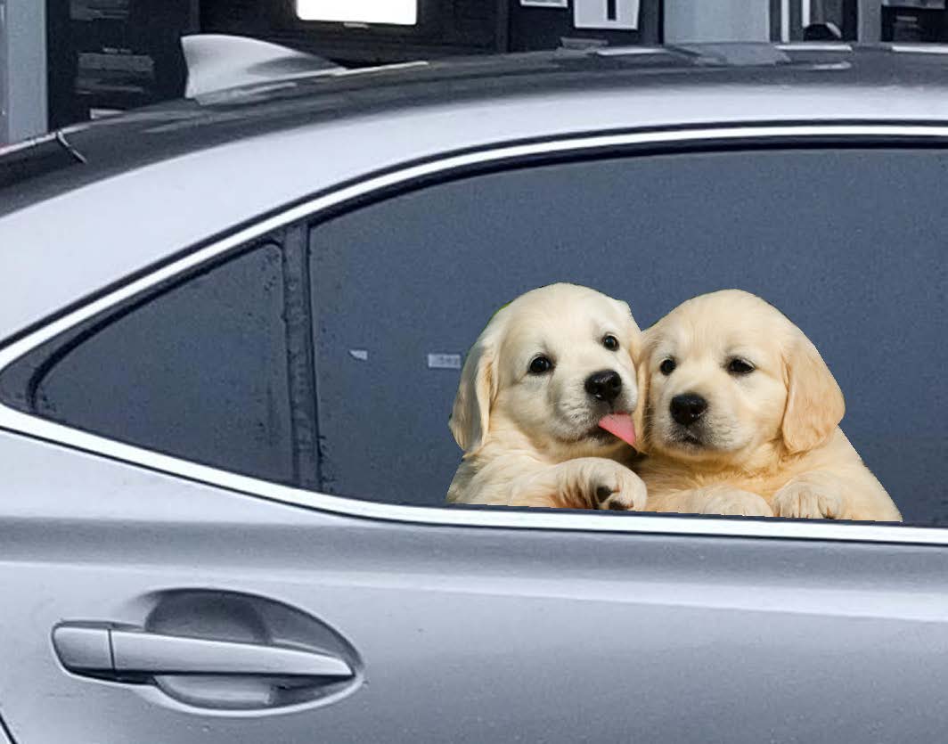 "Puppy Love" Valentine's Day Car Window Decals - 3D