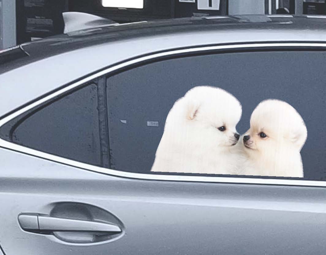"Puppy Love" Valentine's Day Car Window Decals - 3D