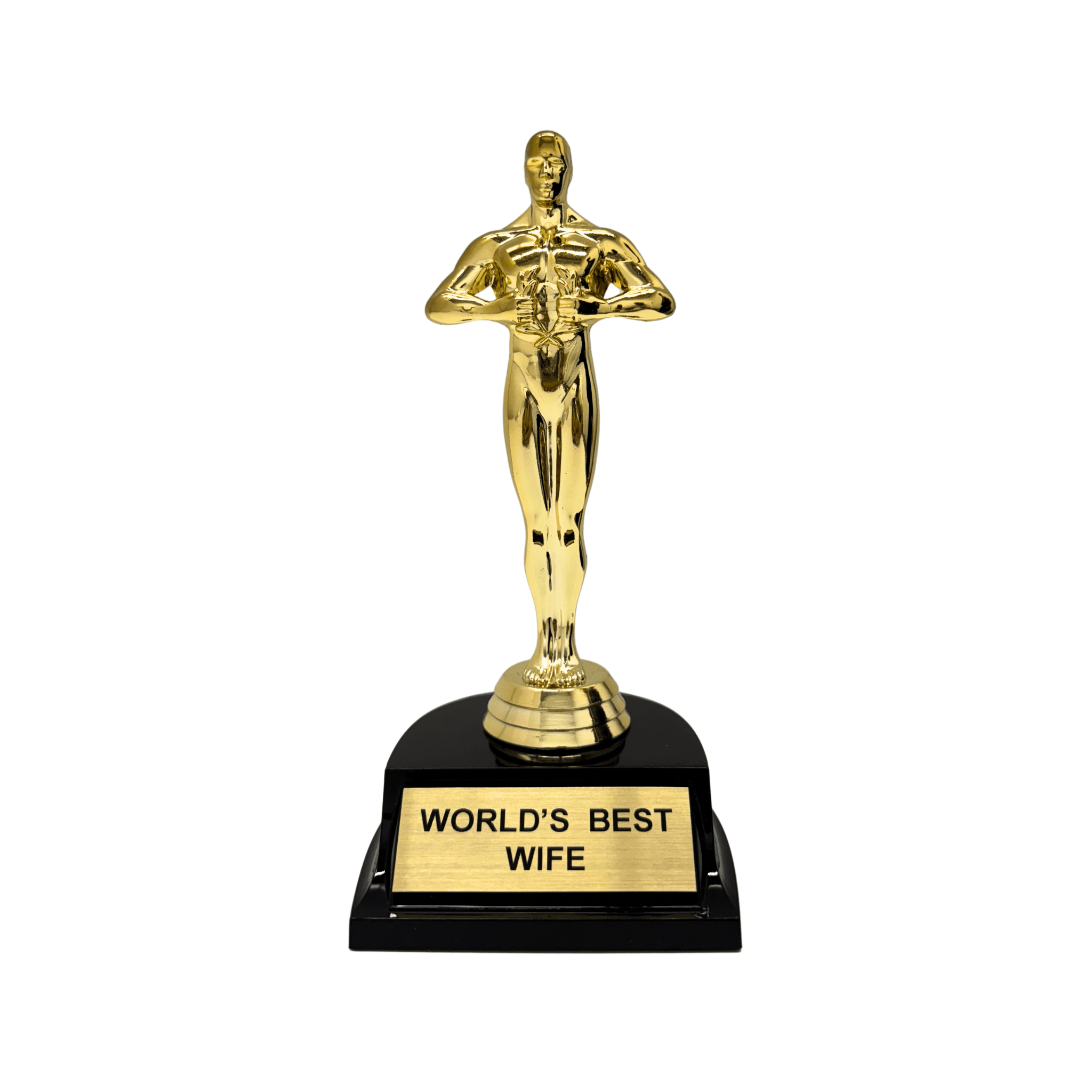 World's Best Wife Trophy 7"