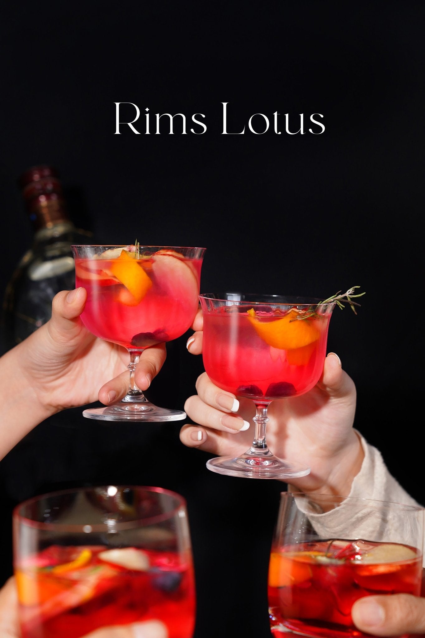 Rims Lotus -  Ribbed Martini & Wine Glasses - Set of 2